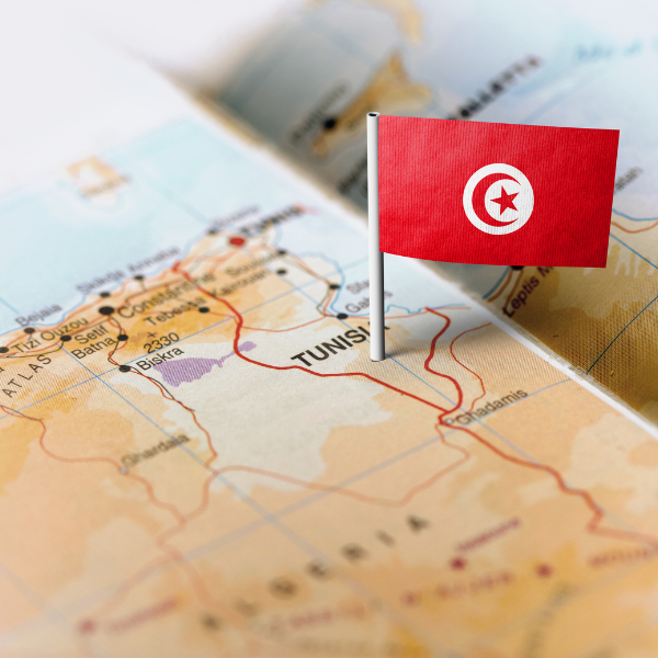 Exploring sourcing opportunities in North Africa