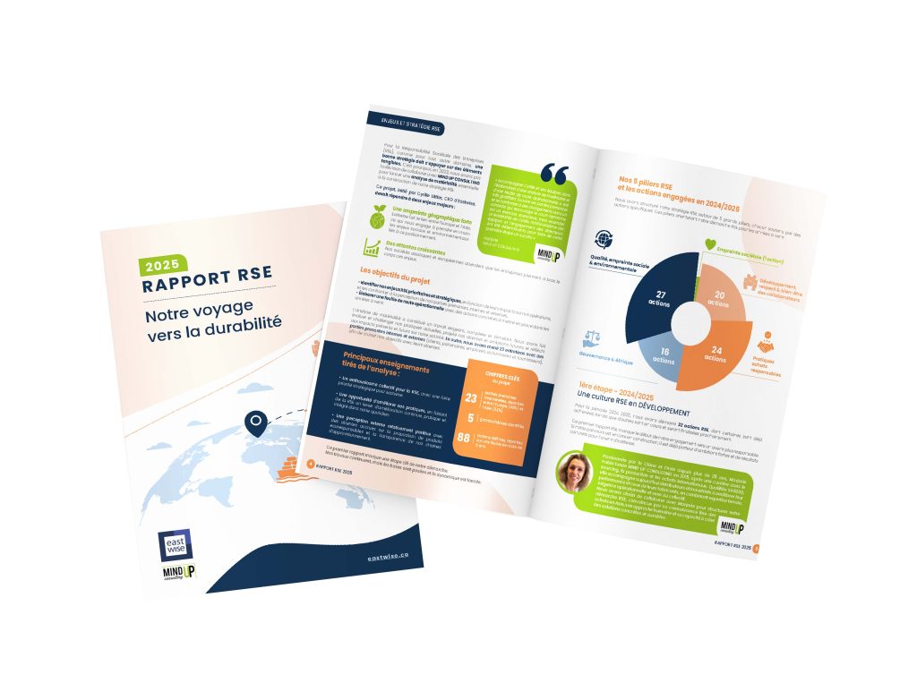 mock up rapport rse fr